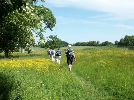 Group of people walking in the field