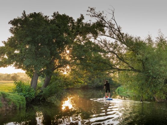 A paddleboarder on a river